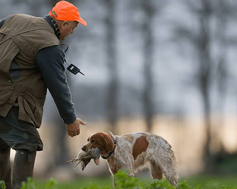 Ouverture de la chasse : rappel des règles et consignes de sécurité